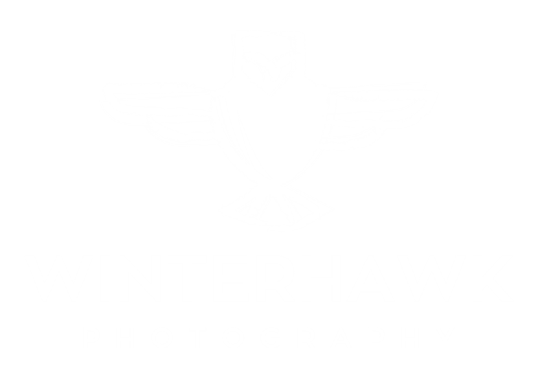 WinterHawk Photography (logo)